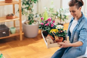5 Best Springtime Home-Improvement Projects
