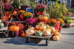 Best Shops & Stores in Lewiston-Auburn for Fall Home Décor by Maine Source Homes & Realty