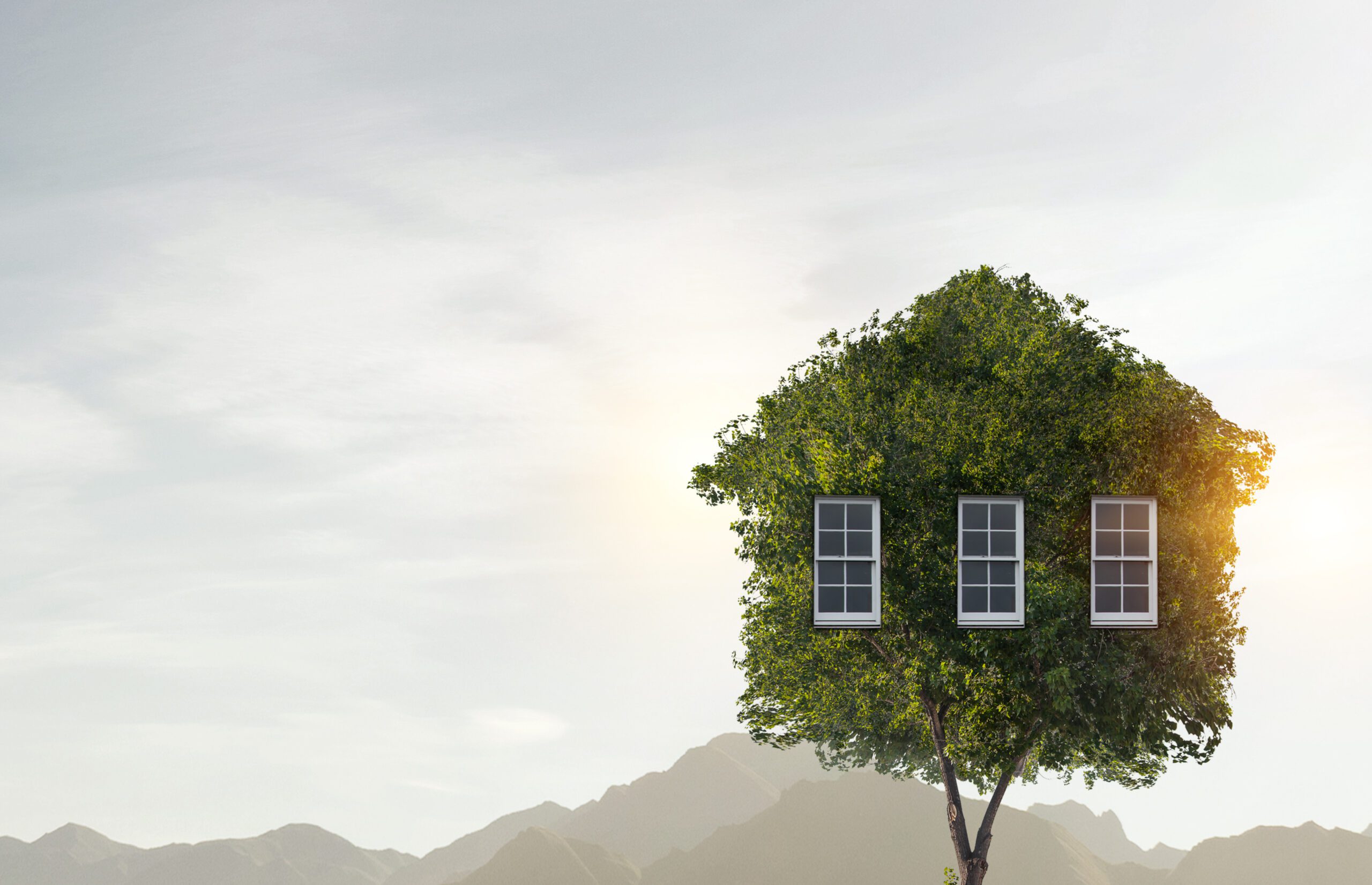 Achieving Greater Sustainability; Creating More of a Green Home