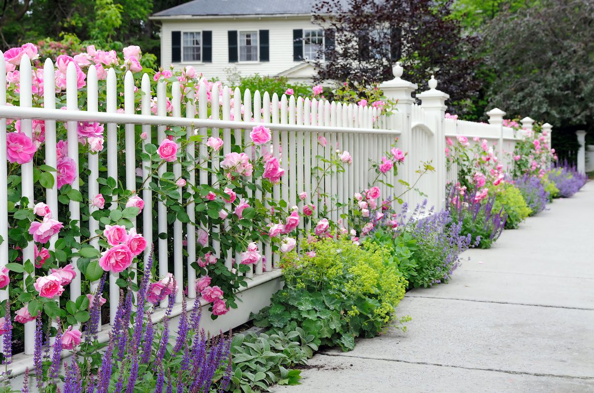 May Flowers That Spruce-Up Springtime Curb Appeal