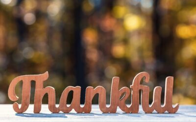 For Thanksgiving: Let’s Give Thanks for These Local Nonprofits